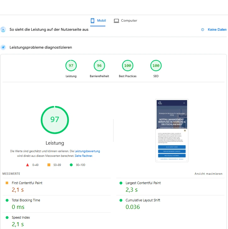 Pagespeed Mobil (1)